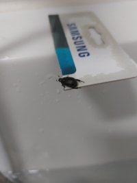 같이 샤워중인데 얘 머임?