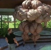 이정도 몸 되려면 운동 몇년해야됨?