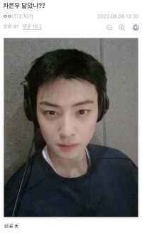 차은우 닮았냐?