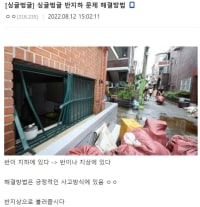 디씨인이 말하는 반지하 해결 방법