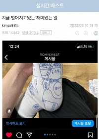 패션업계를 농락해버린 디시인