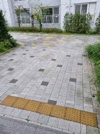 옵붕이 비맞으러 나옴