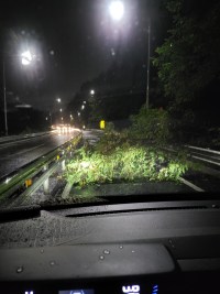 옵붕이 실시간 집못감