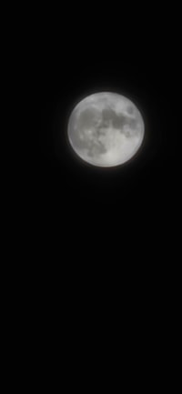 나 달 잘찍는듯