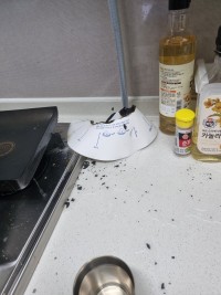 옵붕이 개좆될뻔..