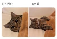 몸에 열많은 사람 특징