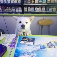 요즘 탑은 진짜 재미가 없다 ㄹㅇ..