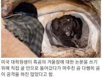 대학원생 레전드.jpg