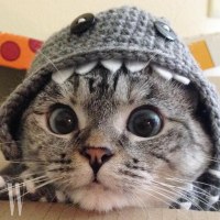 옵지 몇 달 만에 왔는데 예전보다