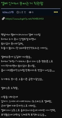 엘베 안에서 똥싸는거 직관함