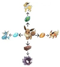 이브이 근본 진화