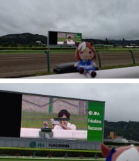 싱글벙글 경마장 박제.jpg