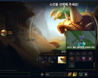 와드스킨 드롭스 어딨는지 찾지마라