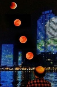 탈모갤 영구탈퇴 달사진