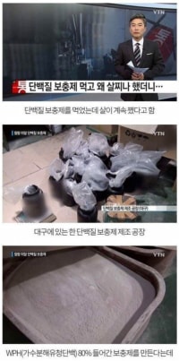 단백질 보충제 먹고 왜 살찌나 했더니