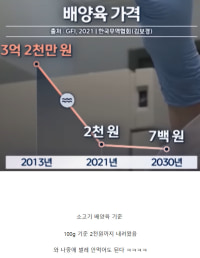 충격적인 배양육 시장 근황