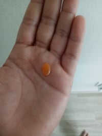 Found a lil buddy while eating a tangerine