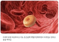 도넛이 혈관 건강에 안좋은 이유