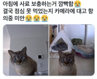 사료 채우는거 깜빡함