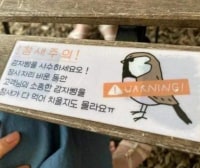 흔한 감자빵 맛집의 경고문