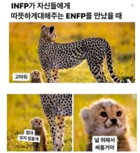 MBTI 생태계 최약체 INFP