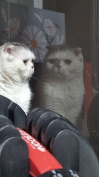 다시 마주하는구나 나의 모든 근심이여