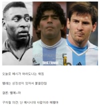 한준희 피셜 펠마메 데전 업데이트