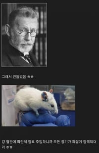 뇌질환 치료제 개발이 어려운 이유