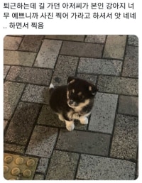 길 가던 아저씨의 갑작스런 사진 제안