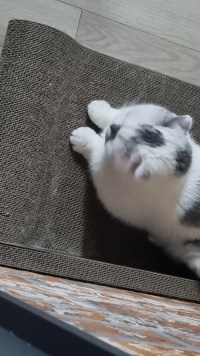 눈 엄청 내리네