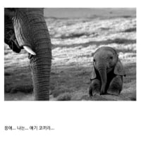 아 혼자보기 아까움