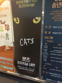 op.gg bro went and saw Cats musical in Korea
