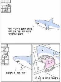 인간을 본 상어의 귀여운 생각