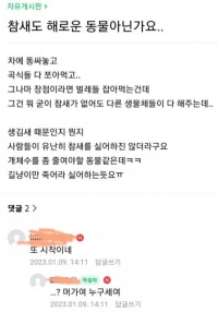 요즘 캣맘들이 물타기 하는 방법