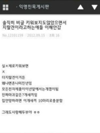 비글(키우는)녀의 오해