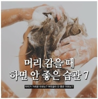 머리 감을 때 하면 안 좋은 습관 7