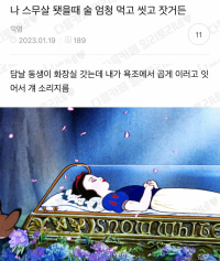 잠자는 술속의 공주