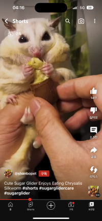 혐),귀염뽀짝) 와 존나 맛있겠다