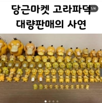 당근마켓 고라파덕 대량판매 사연