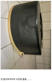 똥 싼후 닦고 나간다 VS 그냥 나간다.