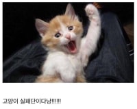 개성공단의 반대말이 뭔지 아심 다들???