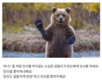??? : 곰돌이야 안녕!