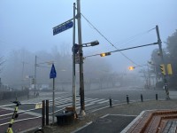 누가 길에 연막뿌렸냐 하…