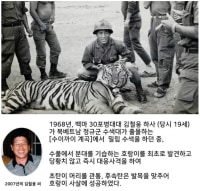 19살 평생 술안주 레전드