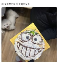 케이크 만들기 대회 꼴찌 실력