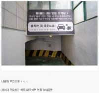 강자만이 살아남는 주차장