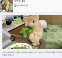 만족도 최상 샤브샤브 배달 리뷰