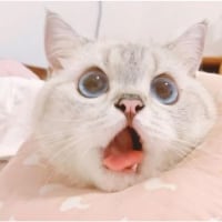 새벽에 연락할 사람 있었으면 좋겠다