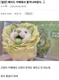 메이드카페에서 쫓겨난 디시인