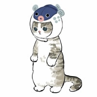 컴잘알 행님덜 계십니까